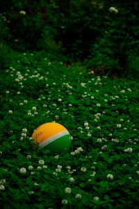 a ball sitting in the middle of a field of flowers
